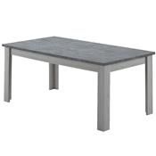 Table 170 cm couleur chêne clair et gris PETUNIA